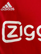 Ajax Amsterdam Heimtrikot 2015/16 - 7,5/10 - Größe L